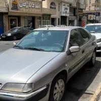 زانتیا بدون رنگ