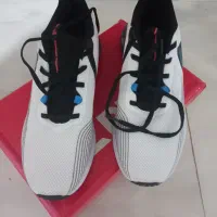 کتونی نو نو|کیف، کفش، کمربند|ماهدشت, |دیوار