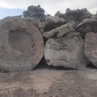 فروش‌ خرسک یزد