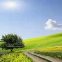 خدمات باغبانی