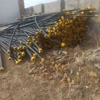 لوله طرح ترک