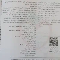 زیست جامع پینوکیو خیلی سبز|کتاب و مجله آموزشی|اردبیل, |دیوار