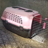 باکس حیوان خانگی|لوازم جانبی حیوانات|تهران, بازار|دیوار