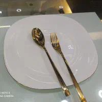 حراج برنج خوری و دیس آرکوپال(لب طلایی)