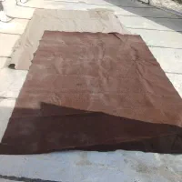 موکت|موکت|ارومیه, |دیوار