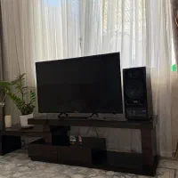 تلوزیون