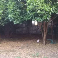 زمین ۲۱۸ متری انزلی خوش نقشه جنب آقا نجفی غازیان|فروش زمین و ملک کلنگی|بندر انزلی, سامانسر|دیوار