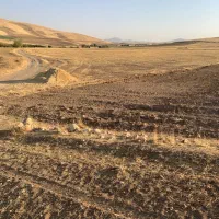 زمین‌کشاورزی‌باضمانت اب‌زیرزمینی(کشاورزی،خانه باغ)|فروش دفتر صنعتی، کشاورزی، تجاری|بوکان, |دیوار