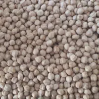 نخود درجه یک آذربایجان