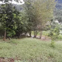 خونه کلنگی با زمین باغی مزروعی