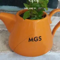 راهنمای میخوام
