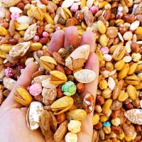 آجیل اقتصادی ،اجیل سلطانی ،تخمه ،شکلات ،نخودکشمش