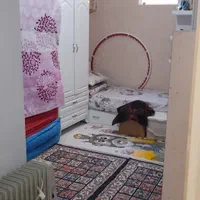 ۷۲ متری تک خواب آزاده ۳۰|فروش آپارتمان|مشهد, یوسفیه (شهرک غرب)|دیوار