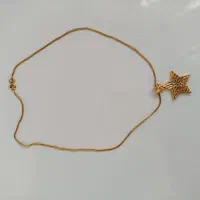 گردنبند و پلاک در حد نو