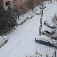 راننده شخصی
