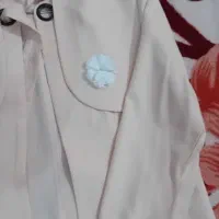 مانتو