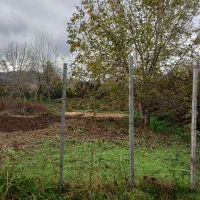 زمین نسقی باغی|فروش زمین و ملک کلنگی|گوراب زرمیخ, |دیوار