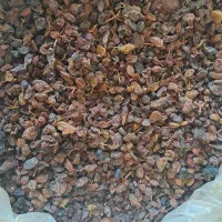 کشمش ا|خوردنی و آشامیدنی|زنجان, |دیوار