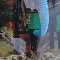 آکواریوم با ماهی ها