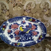 سلام قاب عکس پرنده