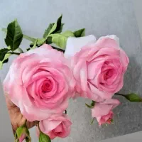 آموزش و فروش گل دستساز منعطف همیشه جاودان