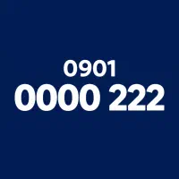 ایرانسل رند خاص / مقطوع / 09010000222vip