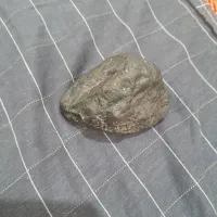 شهاب سنگ فروشی|کلکسیون اشیاء عتیقه|رشت, فرودگاه سردار جنگل رشت|دیوار