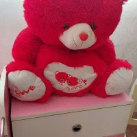 چند عدد عروسک و خرس