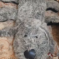 عروسک سگ خوابیده