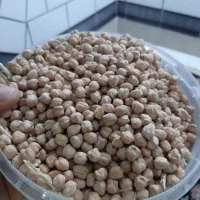 نخود دیم تمیز درشت ۷۵۰ کیلو