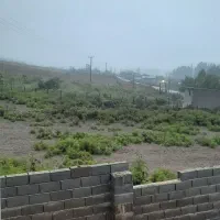 کارگر ماهر دامداری گوسفند سالنی