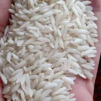 برنج اصل واعلا خوشبخت گیلان