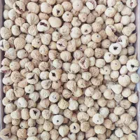 خرید عمده انجیر خشک از قطب جهانی انجیر|خوردنی و آشامیدنی|رونیز, |دیوار