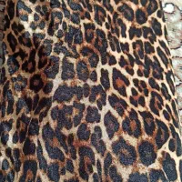 پارچه های مجلسی|لباس|تبریز, |دیوار