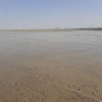 تسطیح اراضی ماهواره ای|خدمات باغبانی و درختکاری|اهواز, دغاغله|دیوار