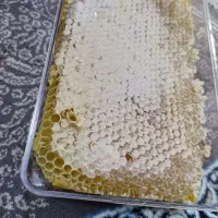 عسل اردبیل
