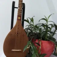 آموزش و تدریس تار، سه تار و سنتور|خدمات آموزشی|شیراز, شهرک سراج‎|دیوار