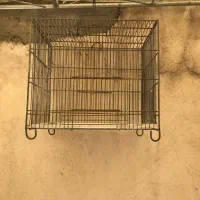 دو عدد قفس سهره