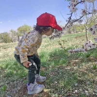 پرستار کودک ۳ ساله