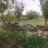 بومهن باغ هکتاری