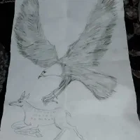 نقاشی