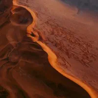 گوسفند چران