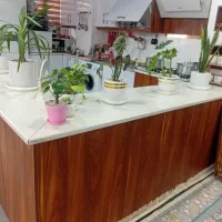 گل های طبیعی|گل و گیاه طبیعی|تهران, باغ فیض|دیوار