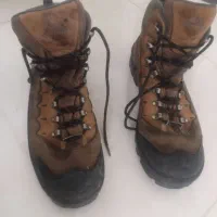 کفش کوهنوردی