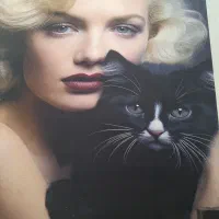 قاب عکس مخمل آرایشگاه زیر فی|تابلو، نقاشی، عکس|یزد, |دیوار