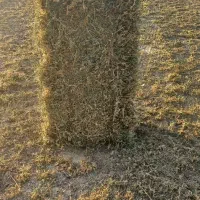 پرس یونجه خشک ..