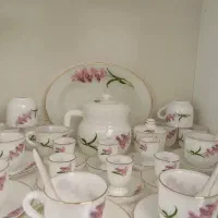 آرکپال پریکس آمریکایی|ظروف سرو و پذیرایی|کاشان, مدرس|دیوار