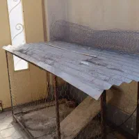 قفس|لوازم جانبی حیوانات|ماکو, |دیوار