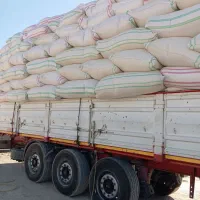 کاه گندم نرم|لوازم جانبی حیوانات|زابل, |دیوار