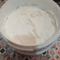 ماست چکیده بسیار تمیز و خوشمزه گاو و گاومیش